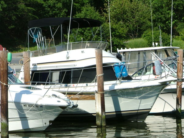 28' Carver Mariner
